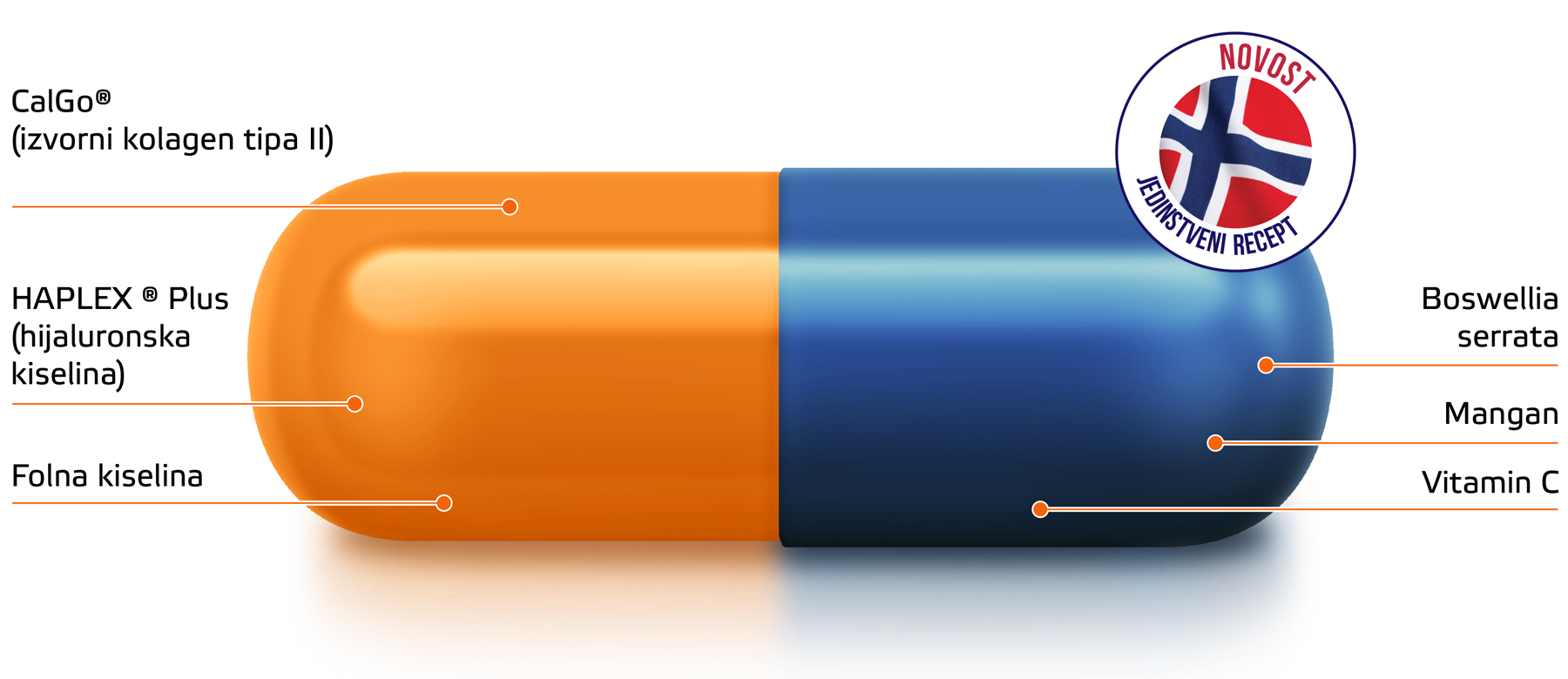 Kapsula Movisan® Collagen II